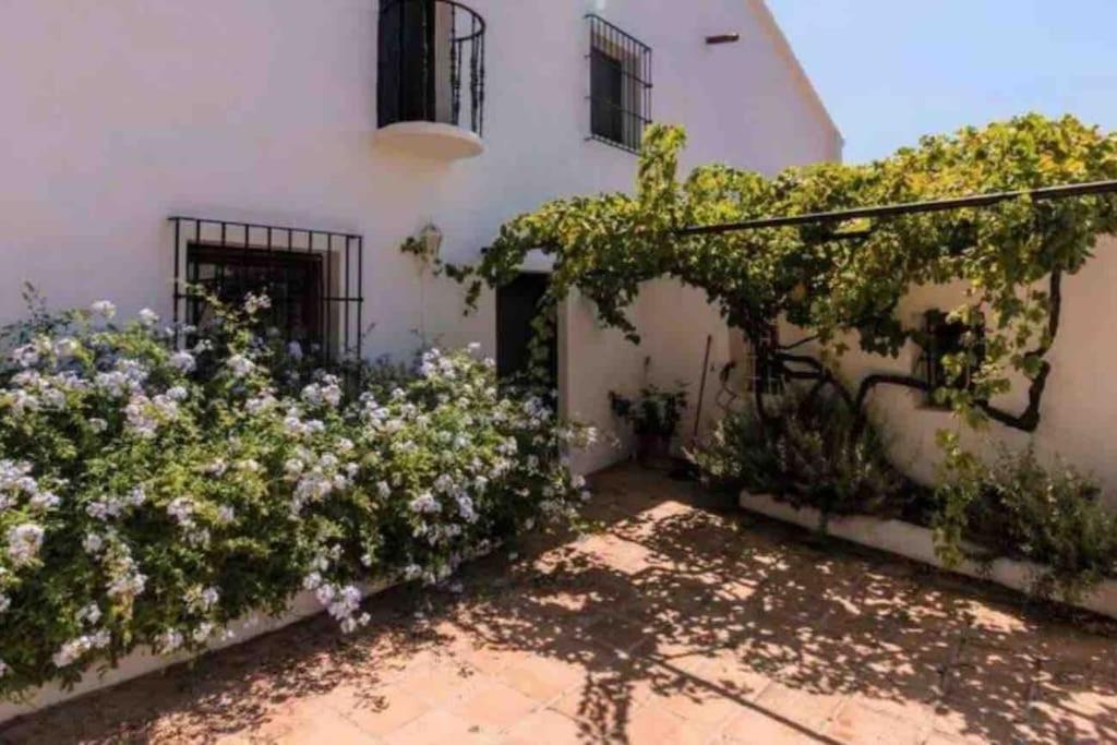 Cortijo Nerja Artist Paradise Экстерьер фото