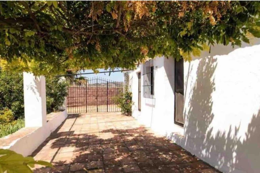 Cortijo Nerja Artist Paradise Экстерьер фото