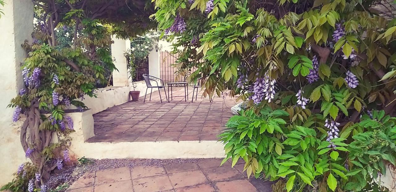 Cortijo Nerja Artist Paradise Экстерьер фото