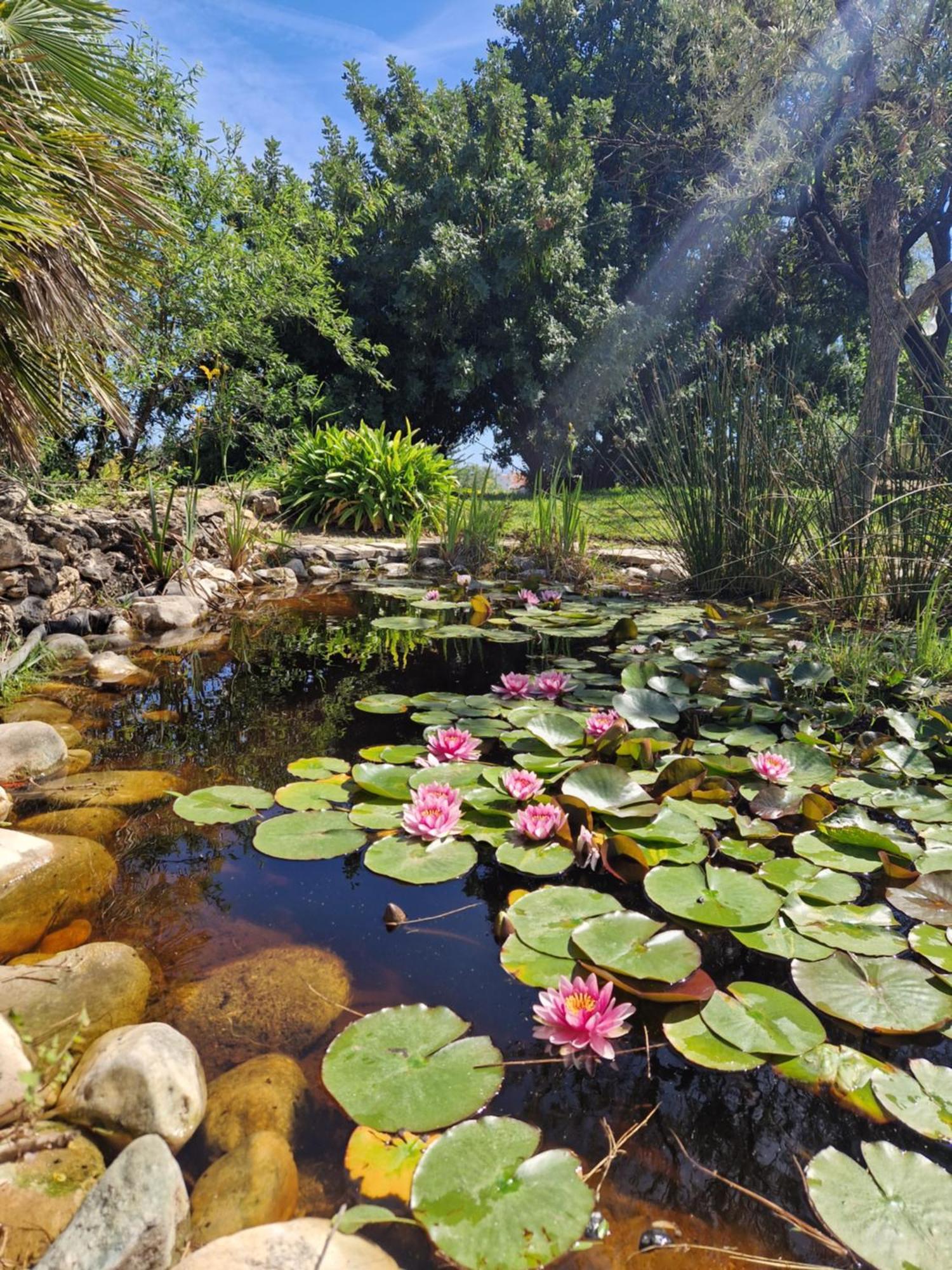 Cortijo Nerja Artist Paradise Экстерьер фото